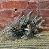 Frosted Mixed Pine w/3 Gold Bells Orb 16"