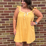 Front Tie Ruffle Sleeve Mini Dress