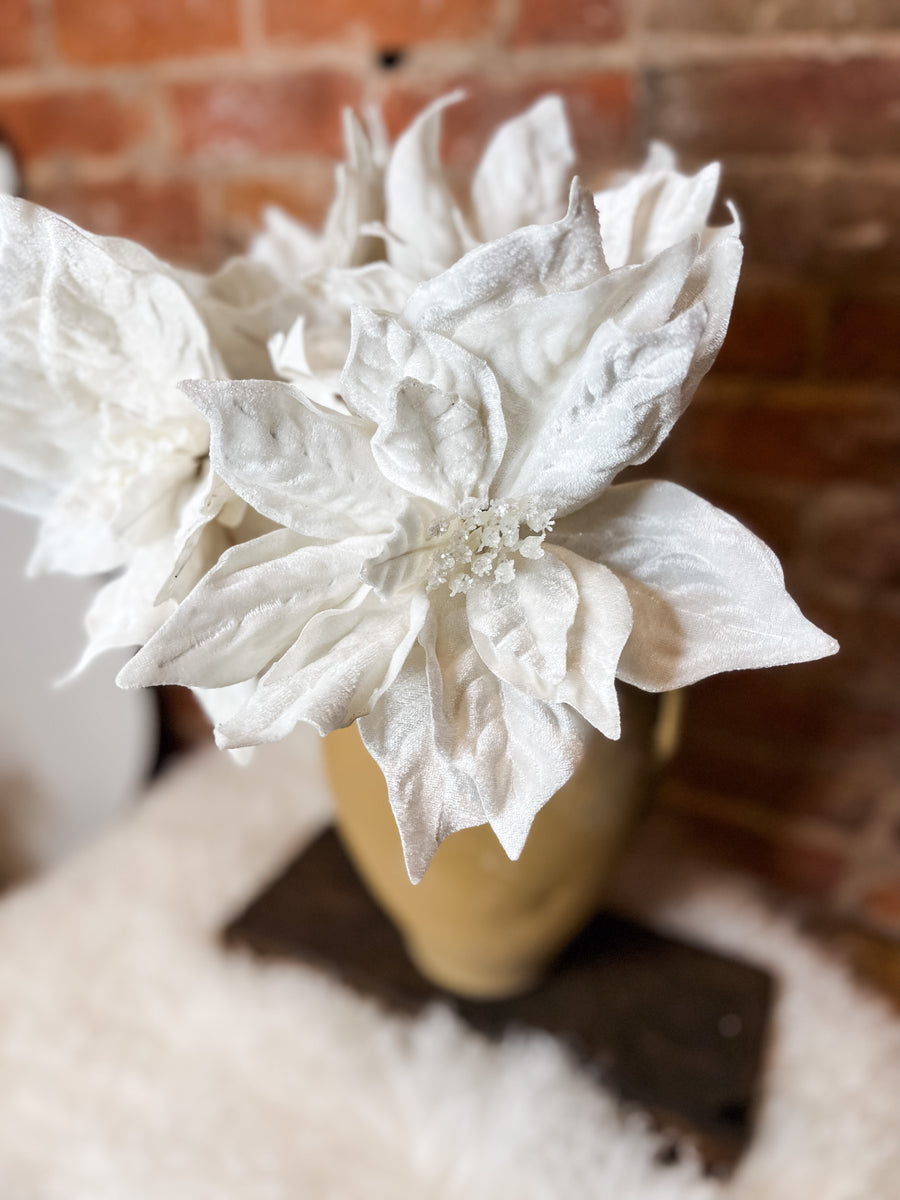 White Poinsettia 21”