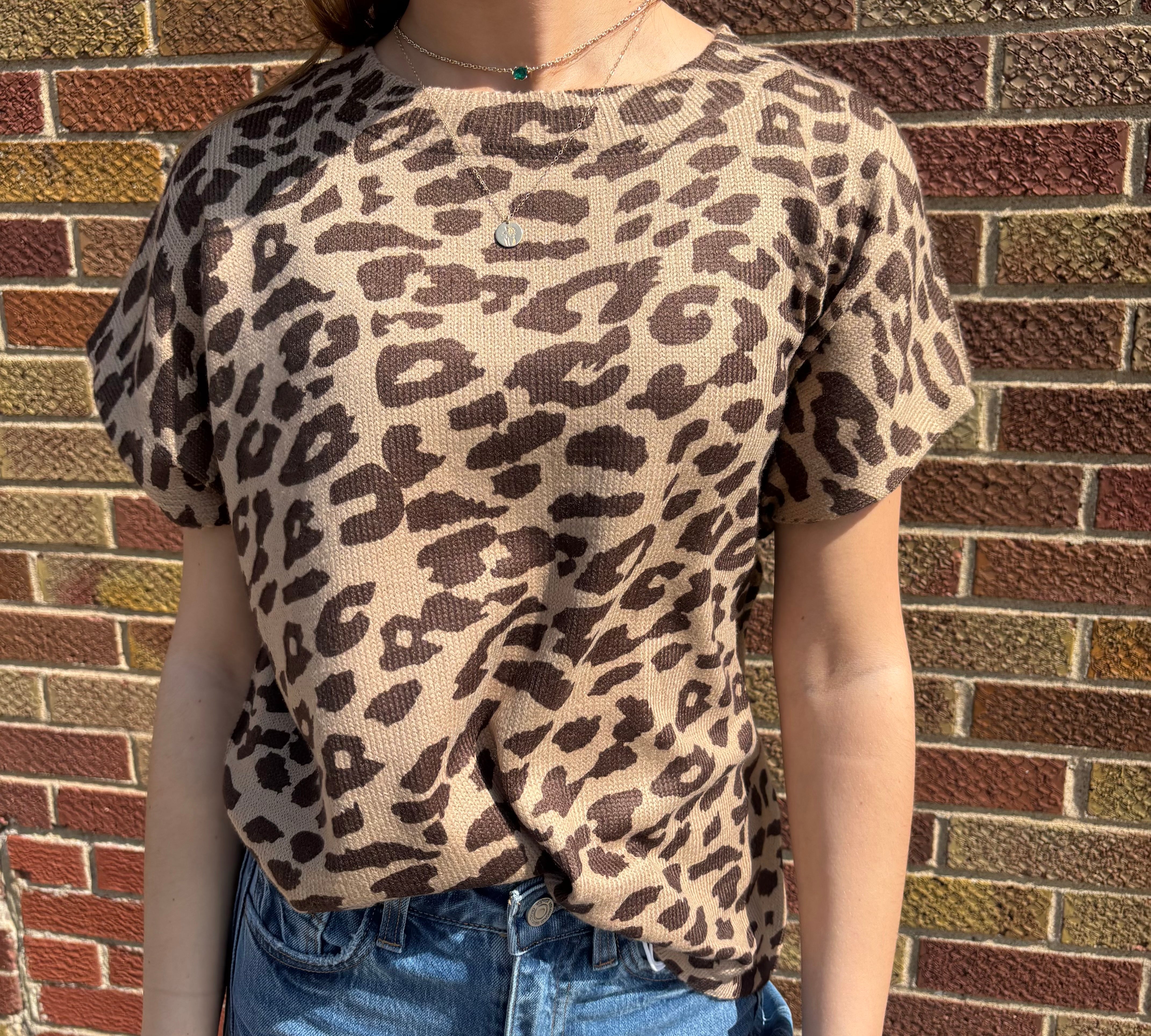 Leopard Print Knit Top