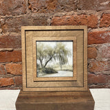 Square Framed Willow Tree Canvas 11"