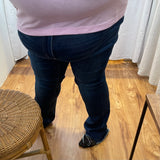 Vervet Plus High Rise Raw Hem Bootcut