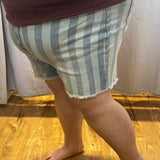 Plus Judy Blue Stars & Stripes Shorts