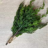 Deluxe Mixed Norfolk Pine & Cedar Hanging Teardrop 17”