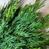 Deluxe Mixed Norfolk Pine & Cedar Hanging Teardrop 17”