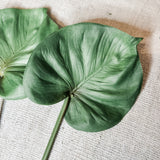 Real Touch Pu Philo Leaf