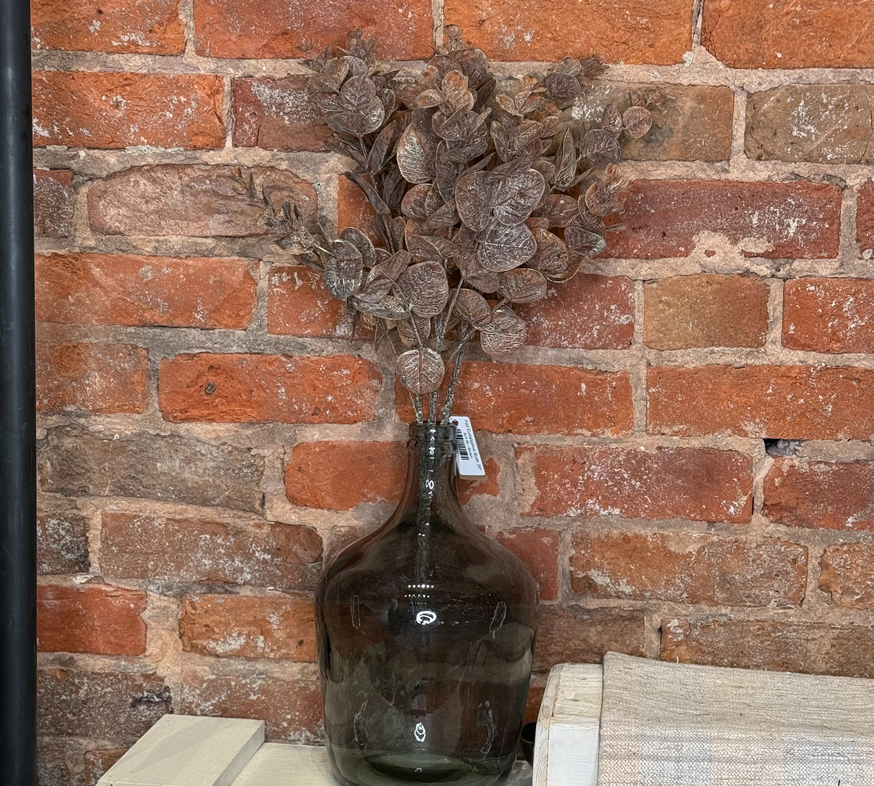 Fall Eucalyptus Bush 20"