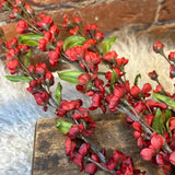 Rust Astilbe Spray 30”
