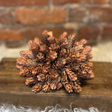 Orange Hops Orb 7”