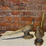 Resin Golden Pheasant