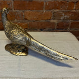 Resin Golden Pheasant