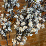 Mini Berry Branch 32.5”