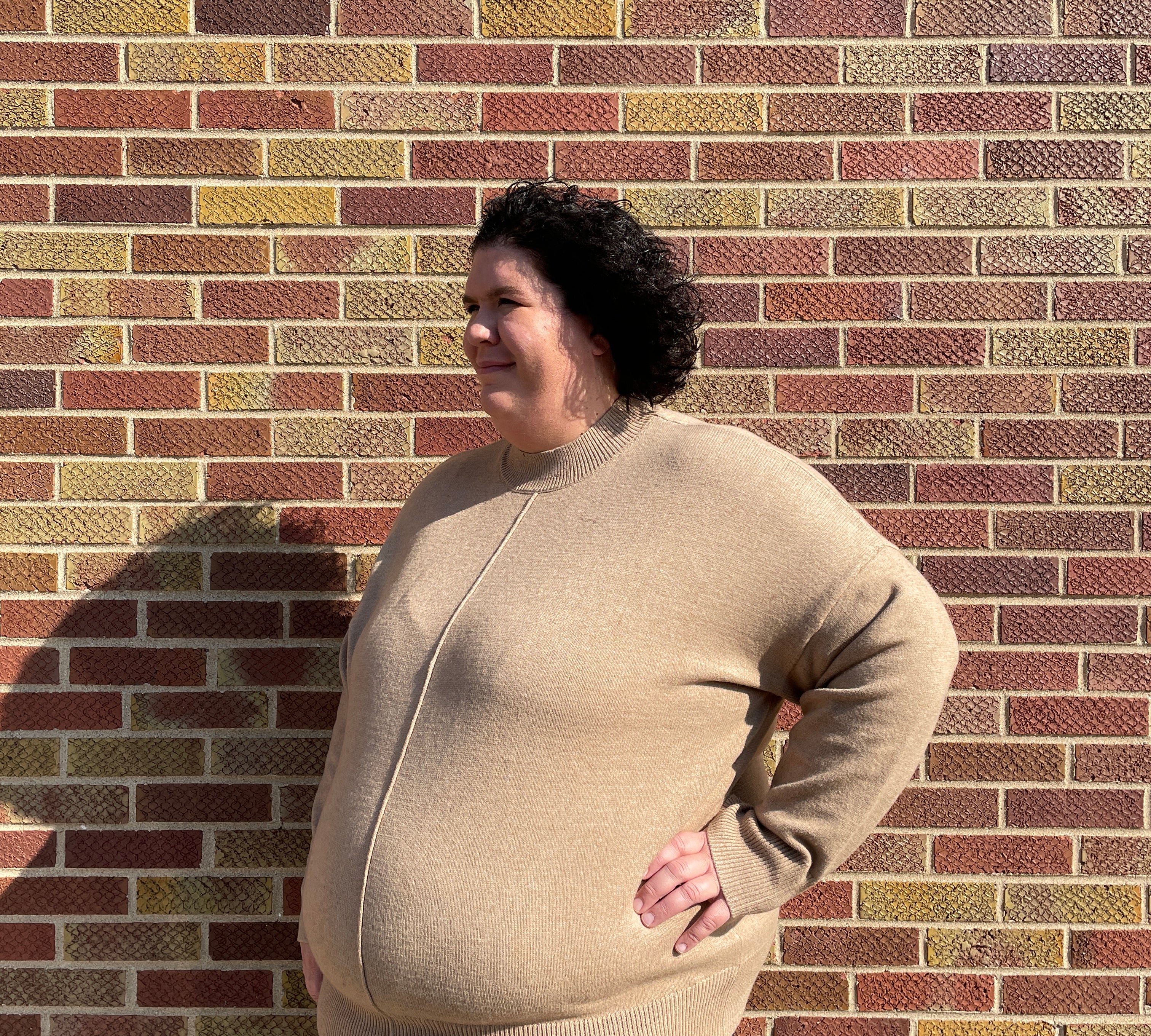 Plus Front Seam Mock Neck Sweater