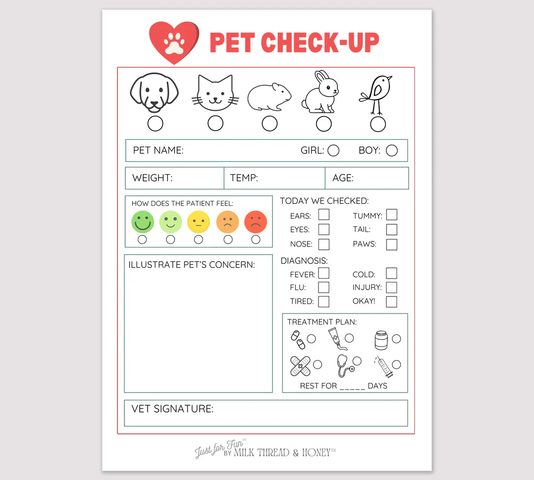 Just For Fun Notepad 5x7"