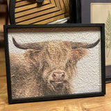 Highland Cow Textured Art 16.25x12.25"