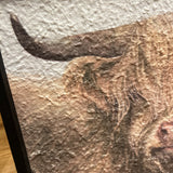 Highland Cow Textured Art 16.25x12.25"