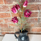 Wild Protea 23.5”