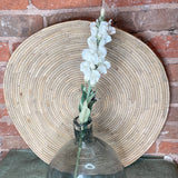 White Stock Flower Stem 20.5"