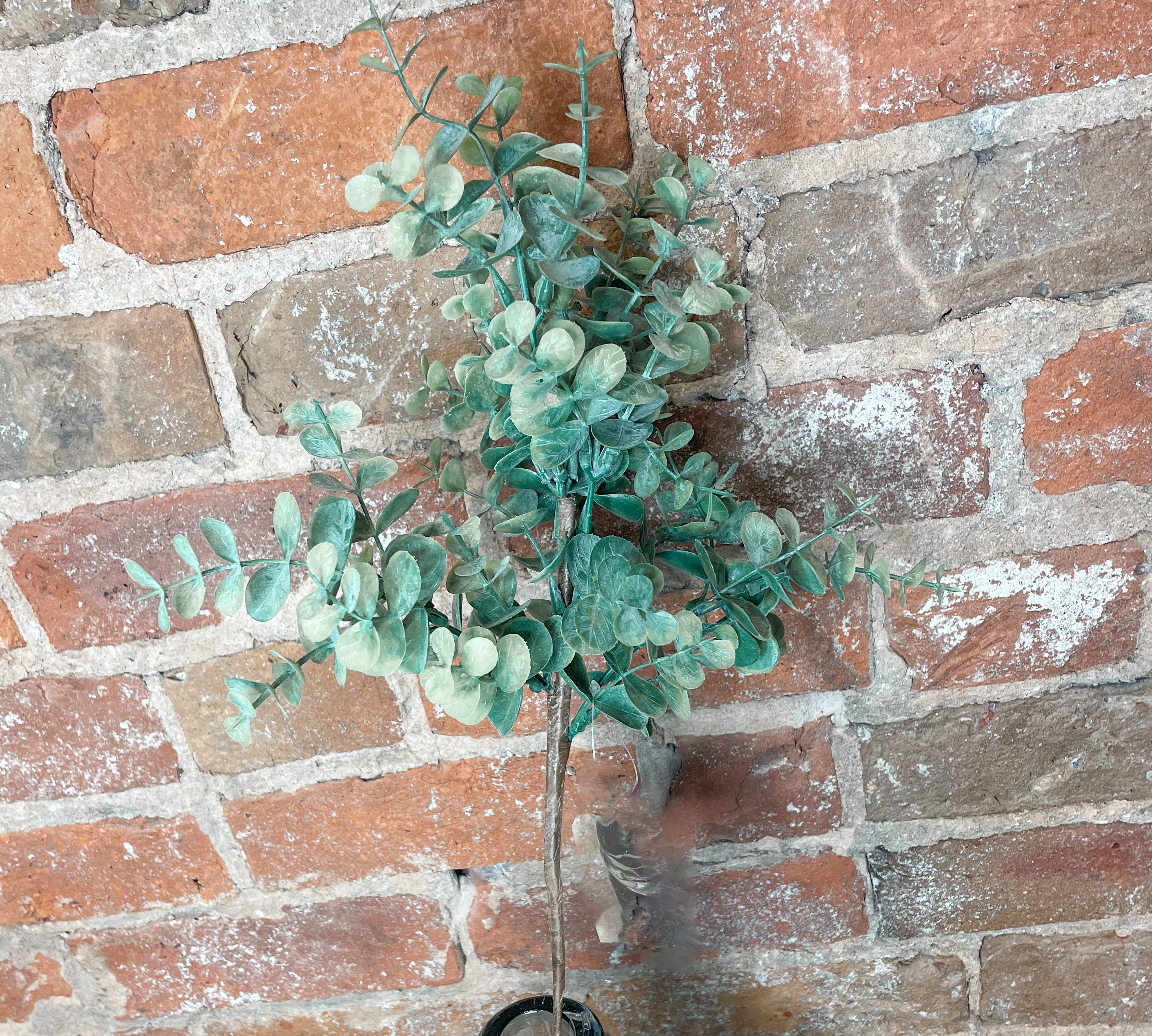 Eucalyptus Stem 24"