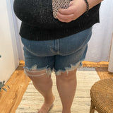 Plus Astrid Distressed High Waist Judy Blue Shorts