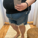 Plus Astrid Distressed High Waist Judy Blue Shorts