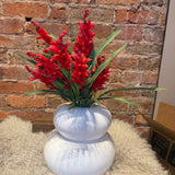 Budding Salvia Firecracker Bush 20"