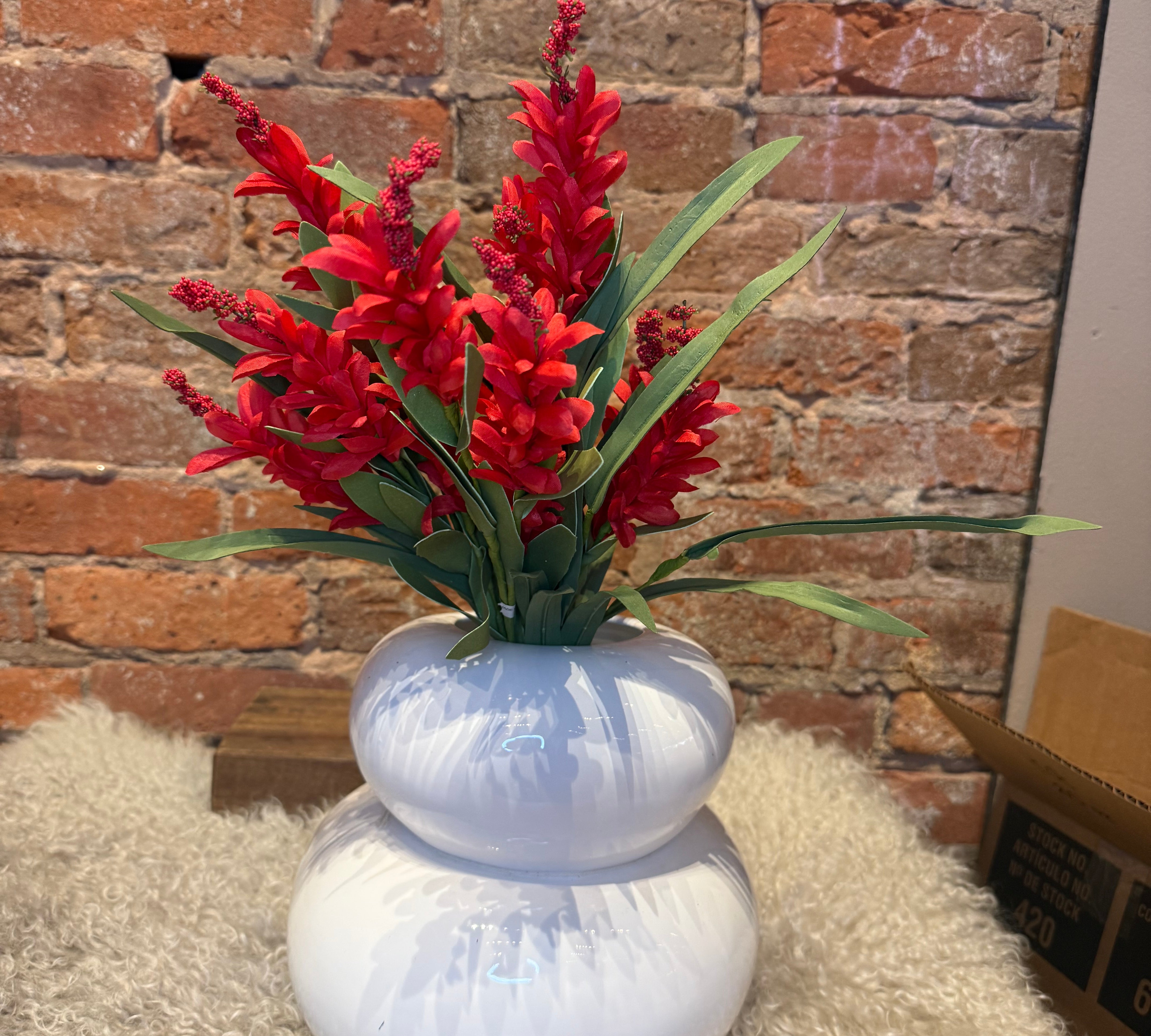Budding Salvia Firecracker Bush 20"