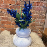 Budding Salvia Firecracker Bush 20"