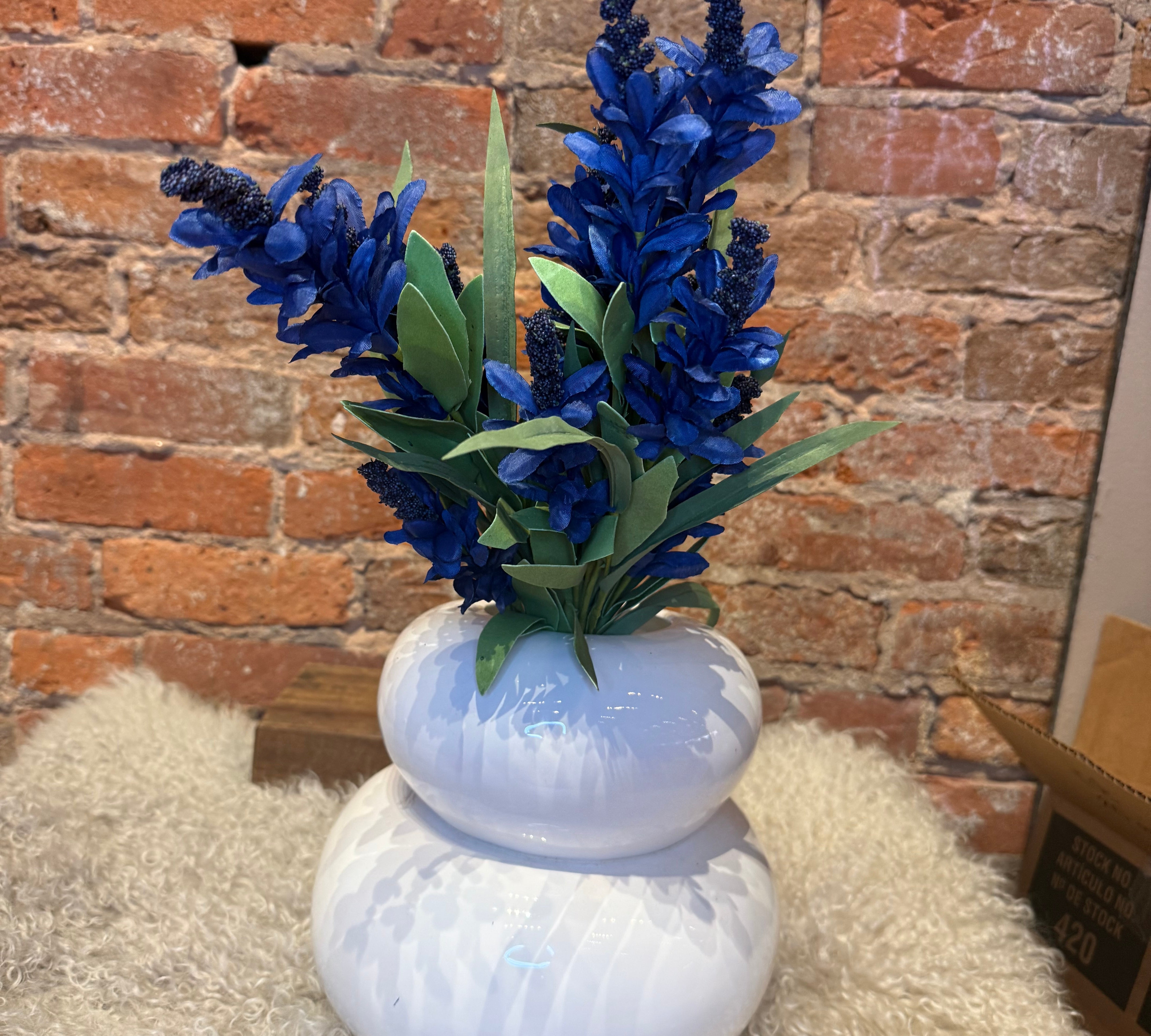 Budding Salvia Firecracker Bush 20"