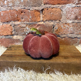 Flocked Brown Pumpkin 6x4"