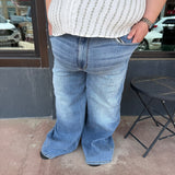 Plus Judy Blue Highwaisted Angelina Column Straight Jeans