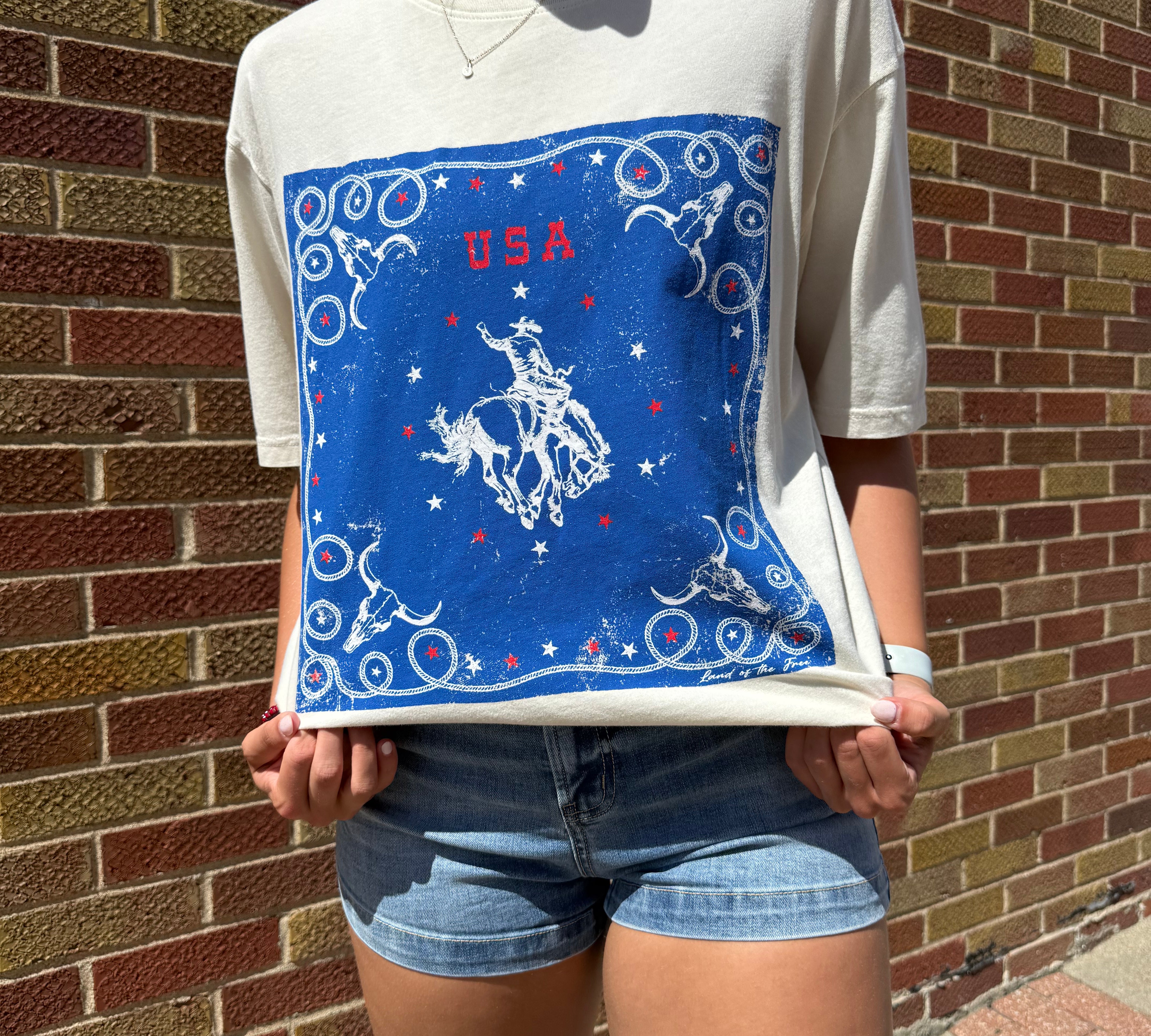 Short Sleeve Western Scarf Graphic Tee