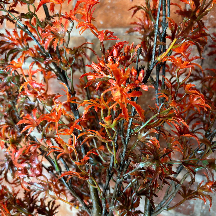 Fall Japanese Maple Stem 30”