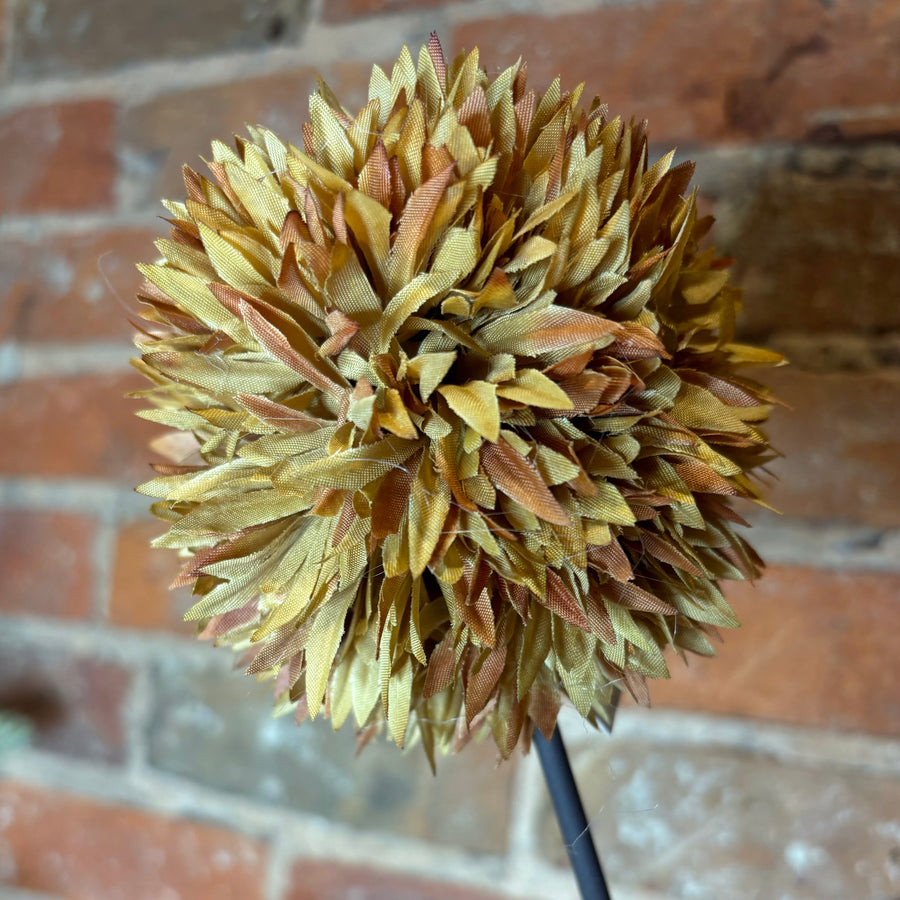 Allium Stem 26”