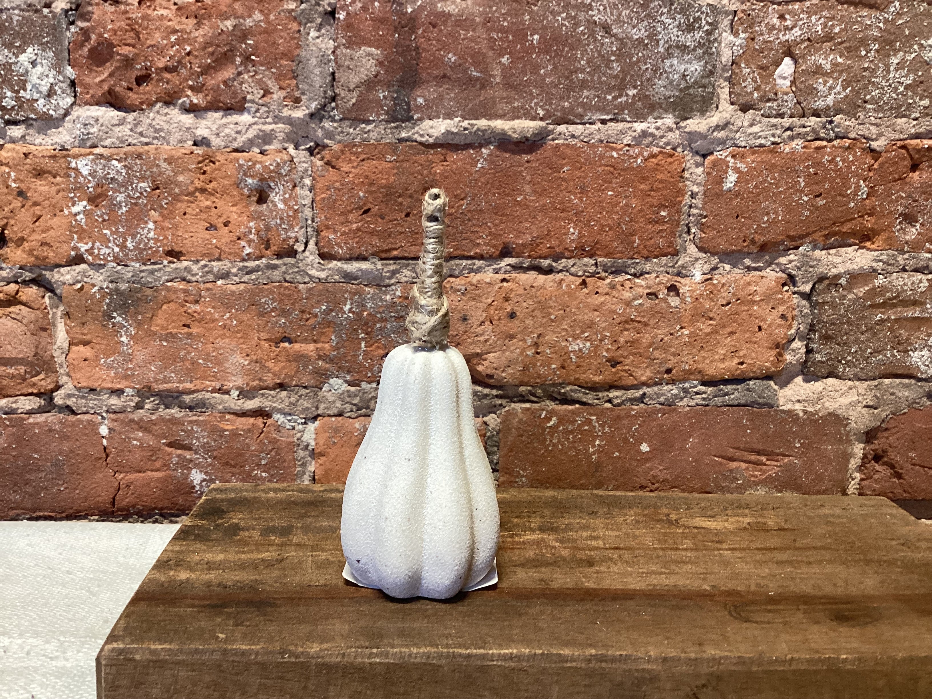 Cream Pumpkin w/Jute Stem