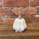 Cream Pumpkin w/Jute Stem