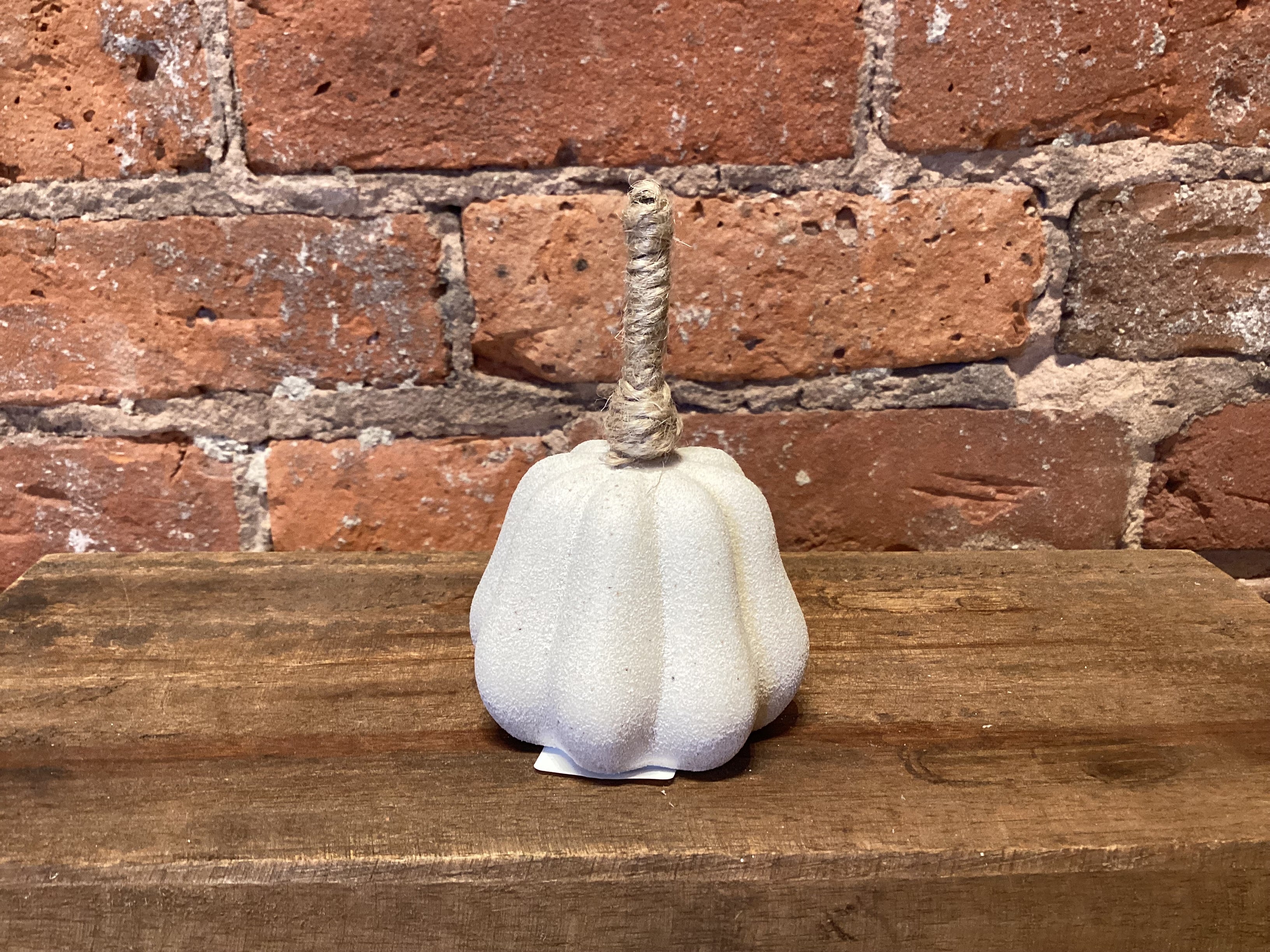 Cream Pumpkin w/Jute Stem
