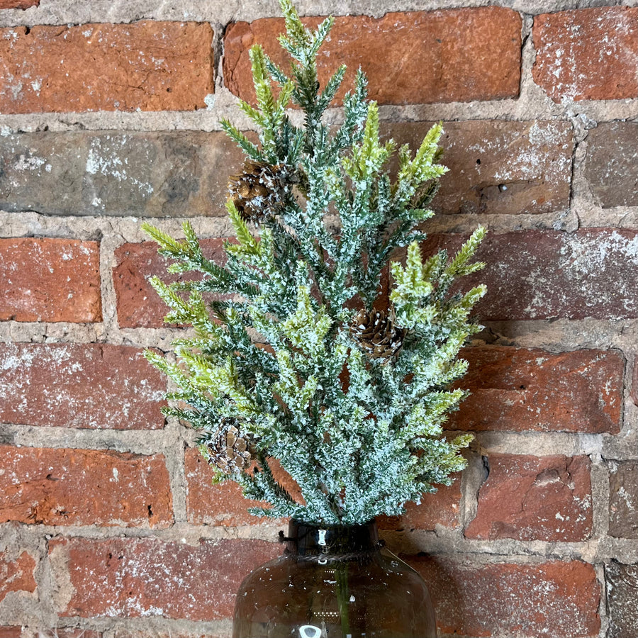 Snowy Juniper Stem w/ Mini Pinecones 25”