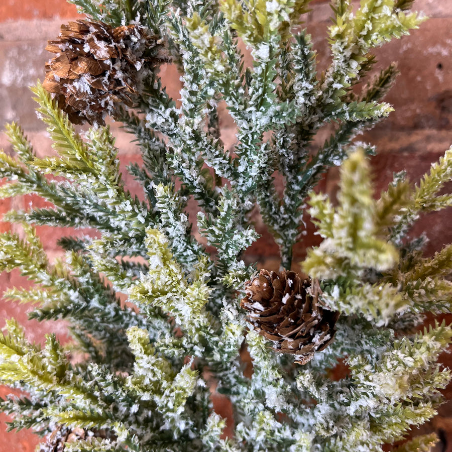 Snowy Juniper Stem w/ Mini Pinecones 25”