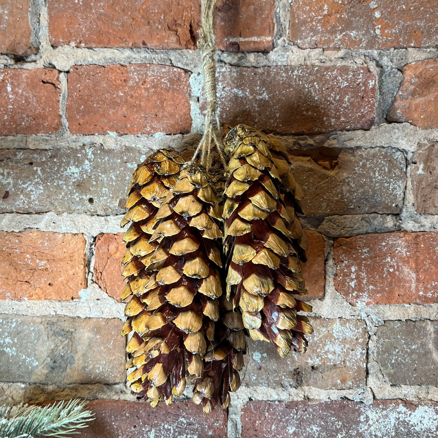 Natural Dried Pinecone Bunch of 6 w/ Jute Rope Hanger 6x16”