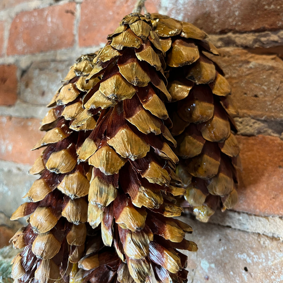 Natural Dried Pinecone Bunch of 6 w/ Jute Rope Hanger 6x16”