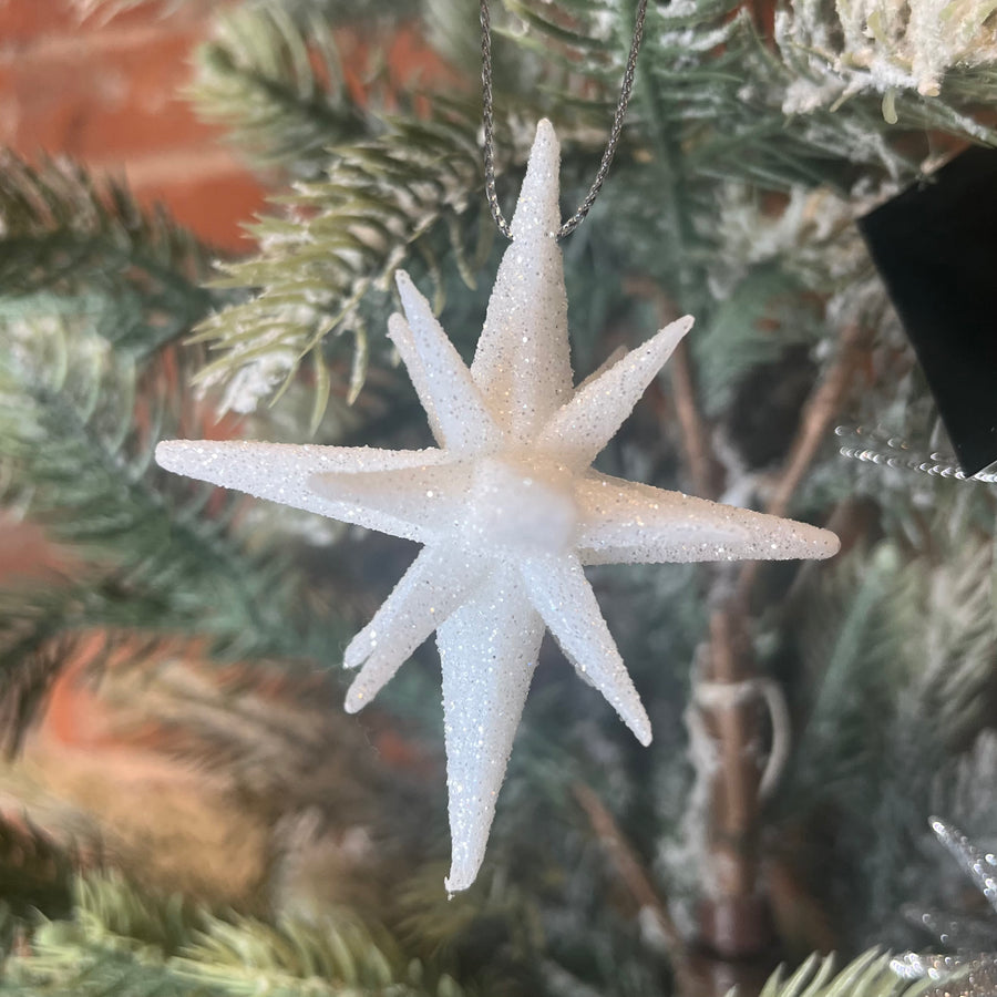 9 Point Glitter Star 2”