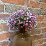 Pink Baby's Breath Stem 9"
