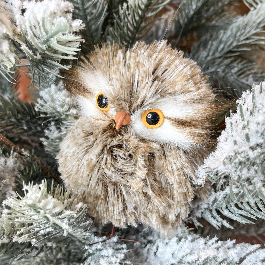 Winter Owl Orn 5.5”