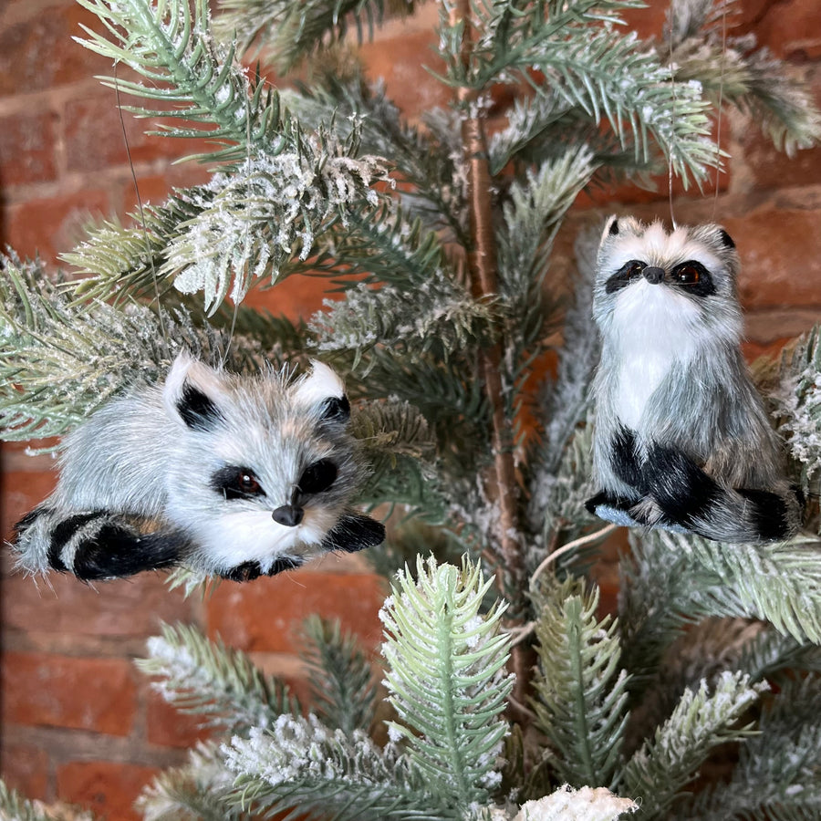 Furry Raccoon Ornament 3.5”