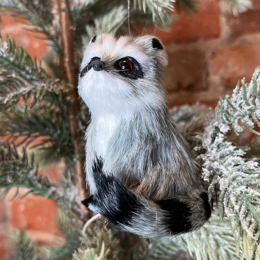 Furry Raccoon Ornament 3.5”