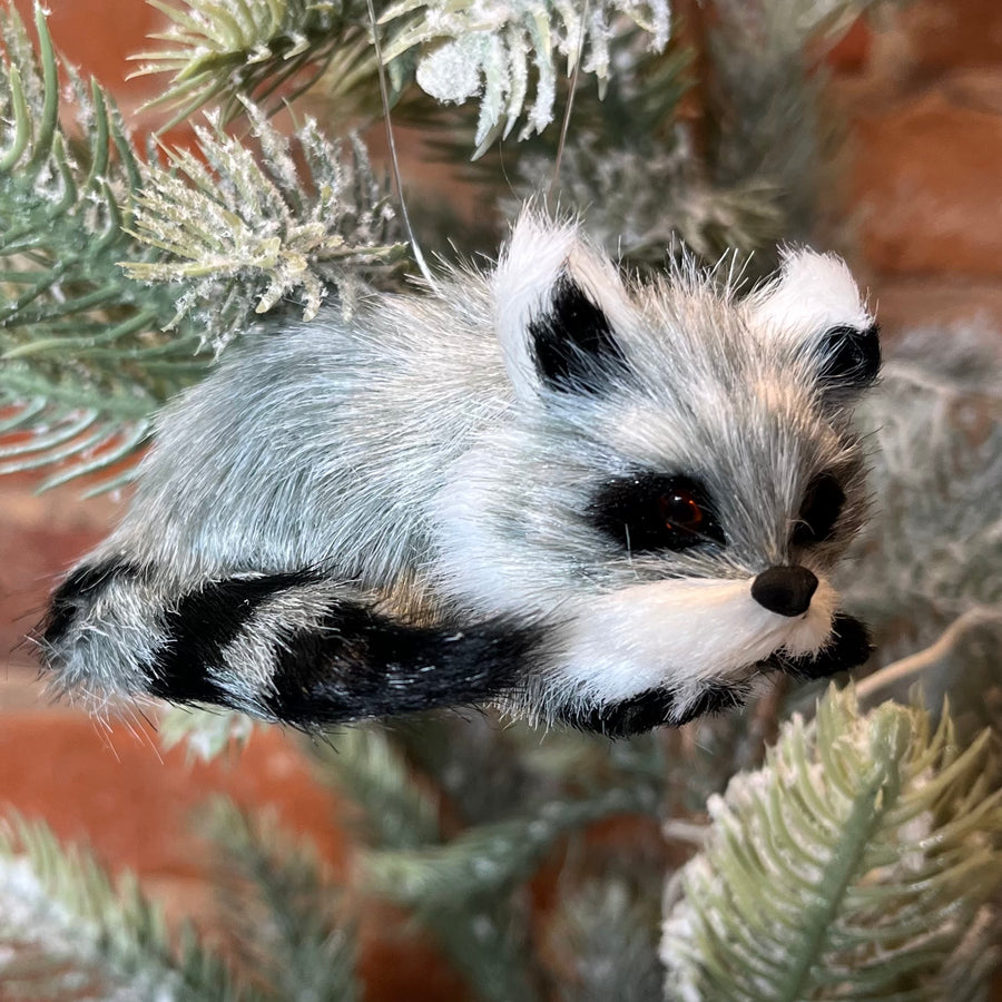 Furry Raccoon Ornament 3.5”