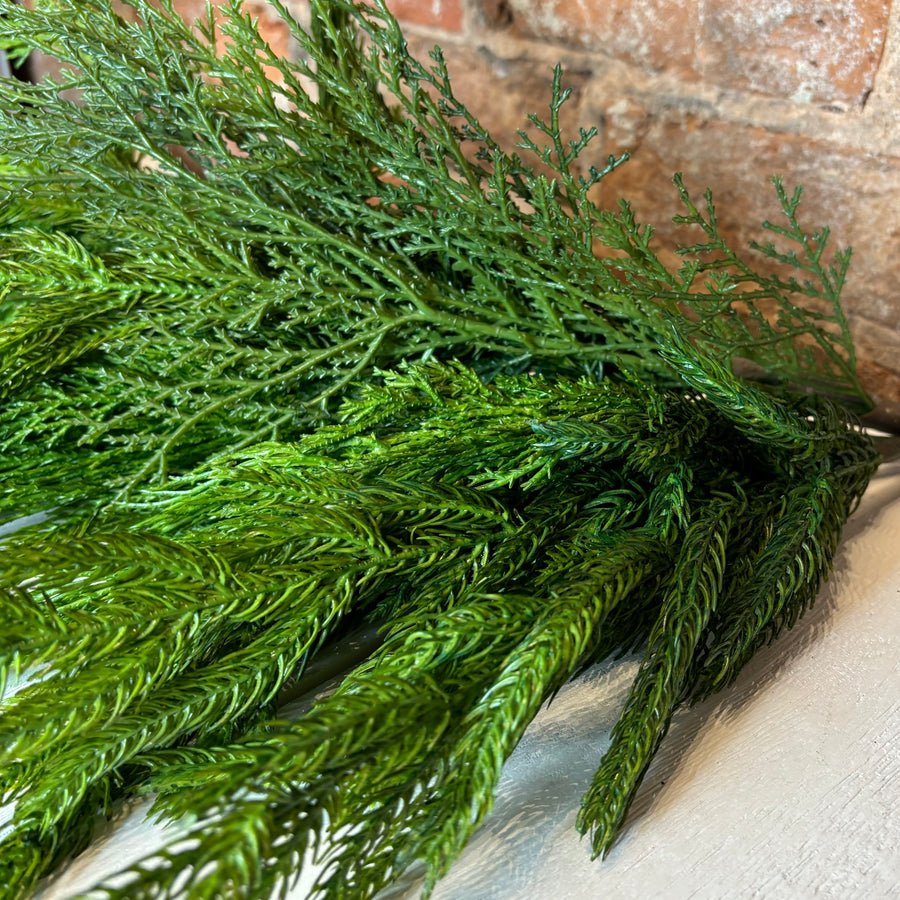 Cypress/Norfolk Natural Pine Bundle 20”