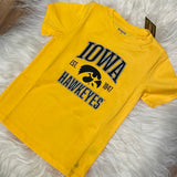 Iowa Slate Gold Toddler T-Shirt