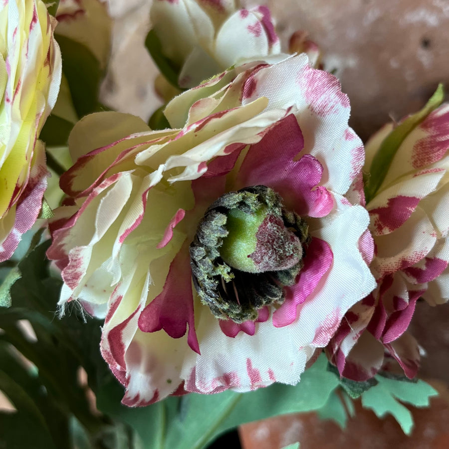 White Ranunculus Bundle w/ Flocked Stem 12"